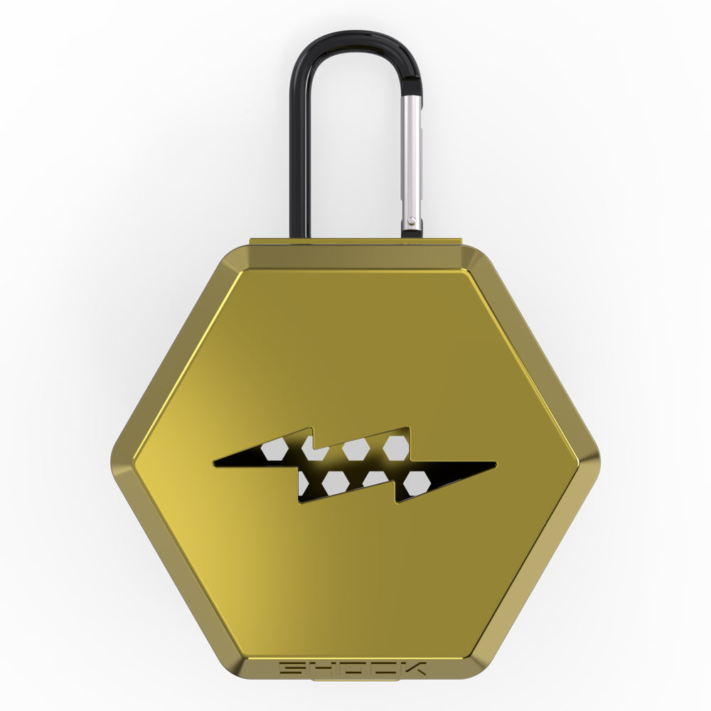 Mouthguard Carrying Case - Chrome Gold